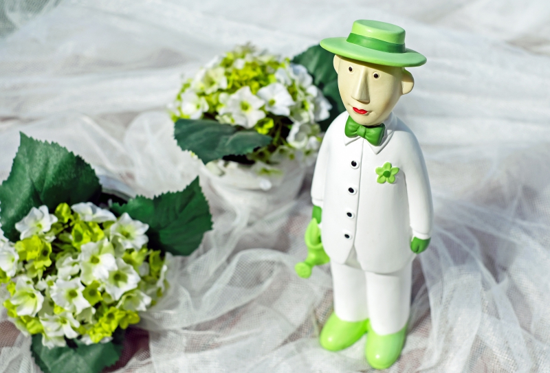 ecommerce-BORMES LES MIMOSAS-min_man-person-flower-green-toy-fig-546529-pxhere.com